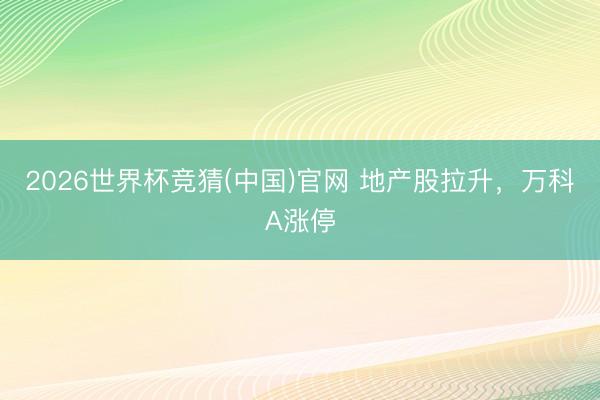2026世界杯竞猜(中国)官网 地产股拉升，万科A涨停