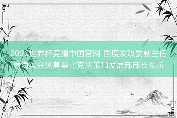 2026世界杯竞猜中国官网 国度发改委副主任周海兵会见莫桑比克决策和发展部部长瓦拉