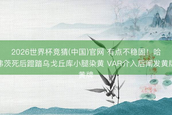 2026世界杯竞猜(中国)官网 有点不稳固！哈弗茨死后蹬踏乌戈丘库小腿染黄 VAR介入后阐发黄牌