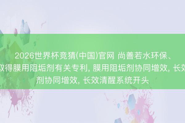2026世界杯竞猜(中国)官网 尚善若水环保、沃特泰科环保取得膜用阻垢剂有关专利， 膜用阻垢剂协同增效， 长效清醒系统开头