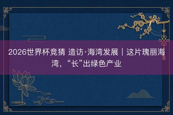 2026世界杯竞猜 造访·海湾发展｜这片瑰丽海湾，“长”出绿色产业