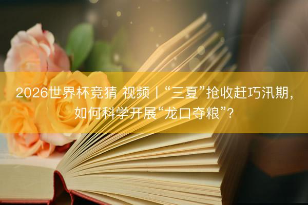 2026世界杯竞猜 视频丨“三夏”抢收赶巧汛期,如何科学开展“龙口夺粮”?