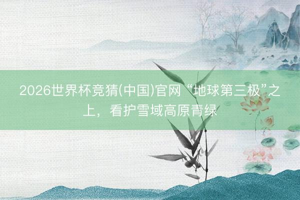2026世界杯竞猜(中国)官网 “地球第三极”之上，看护雪域高原青绿