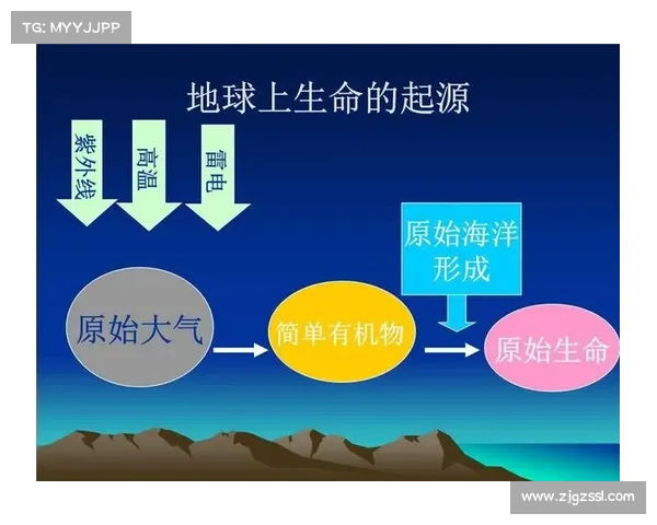 未来文明崛起与人类命运选择的深度探索与展望